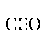 CEO Feature Staff