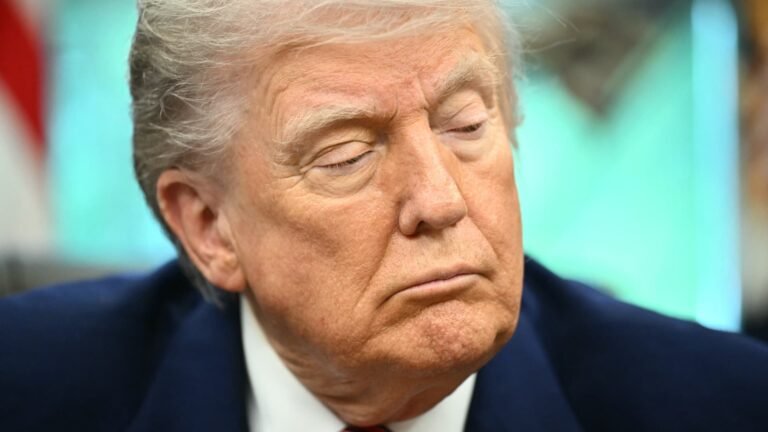 EU tariff may backfire on Trump, according to trade, freight experts