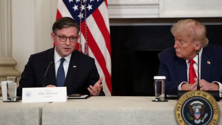 Trump says D.C. military parade protesters will see heavy force