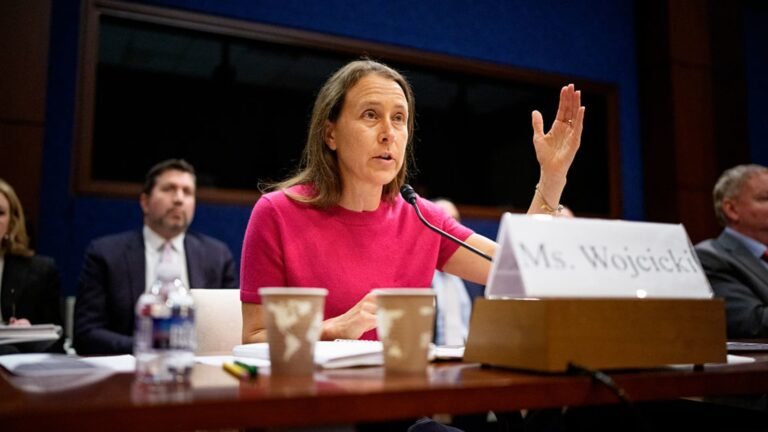 Anne Wojcicki to buy back 23andMe and its data for $305 million