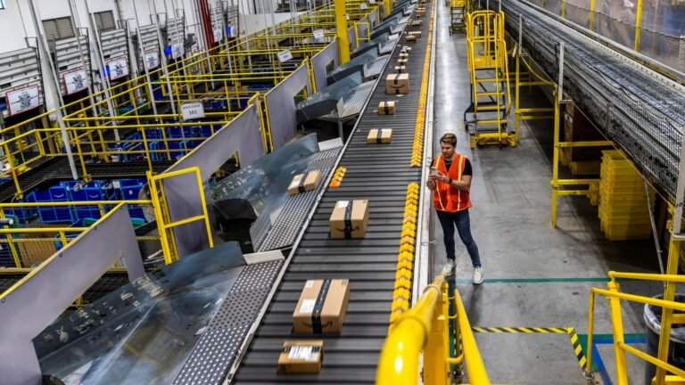 Amazon warehouse workers lose jobs after Trump immigration crackdown