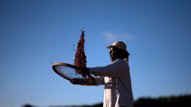 Coffee prices rise on Trump tariff threat, plus market rotation winners